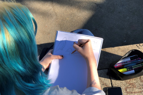 Schülerin skizziert Vögel